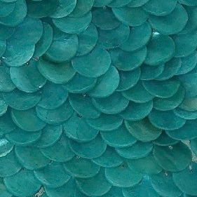 “Scale” shorts in Turquoise